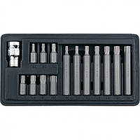 Набір біт TORX 10 мм, хвостовик 6-гранний, CrV, 15 предметів, STELS 11315