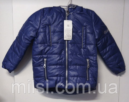 Куртка весняна для хлопчика 104 BimbisSimi S-61, синій, фото 1
