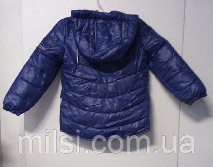 Куртка весняна для хлопчика 104 BimbisSimi S-61, синій, фото 2