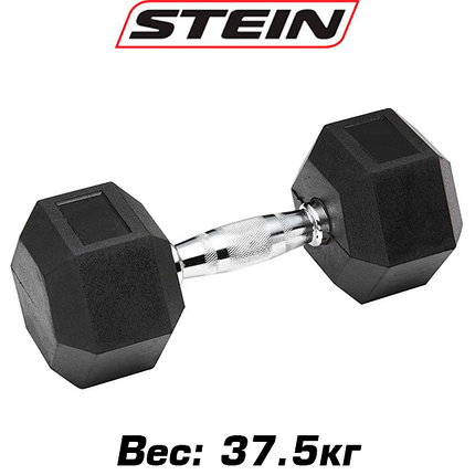 Гантель нерозбірна сталева гантель професійна гумова шестигранна гексагональна Stein 37.5 кг, фото 1