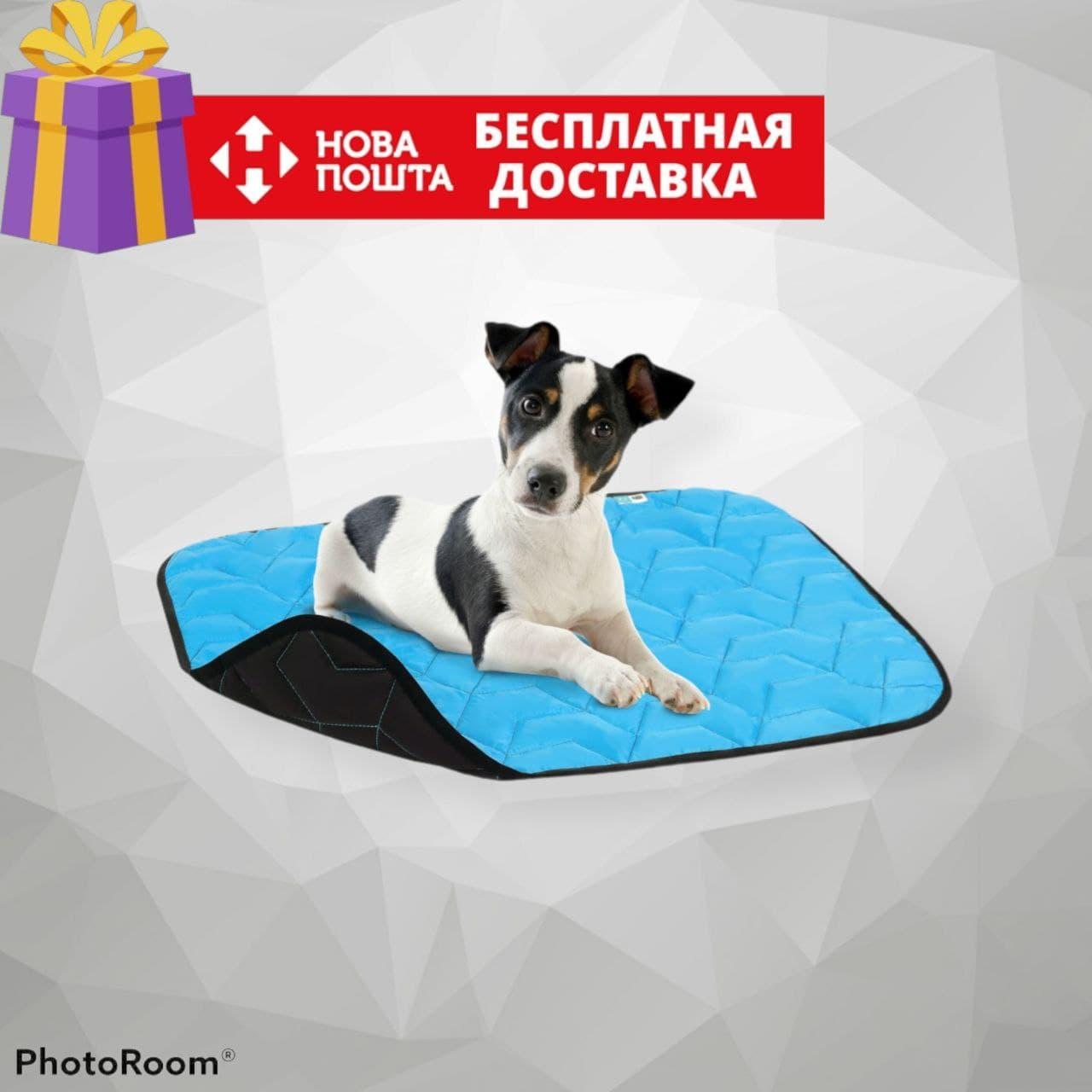 Підстилка для собак, розмір M, 80*55см В 3 КОЛЬОРАХ