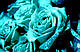 Світна фарба Noxton для живих квітів. Фасовка 1 л. Колір Класика 4., фото 8