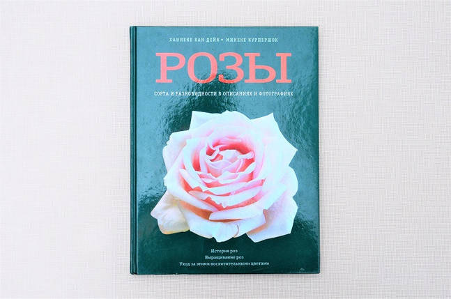 Троянди. Сорти і різноВиды в описах і фотографіях, фото 1