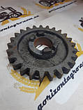 Колесо зубчасте редуктора сітківки СЗ 3.6 туки на 25 зубів, фото 3