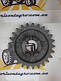 Колесо зубчасте редуктора сітківки СЗ 3.6 туки на 25 зубів, фото 2