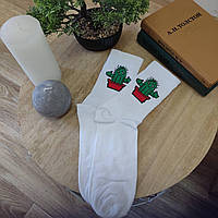 Шкарпетки чоловічі білі з принтом "Кактус" та написом "Колючка" (розмір 41-46)