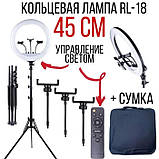 Кільцева професійна LED лампа RL-18 з пультом та штативом (45 см. 55 Вт.), фото 2