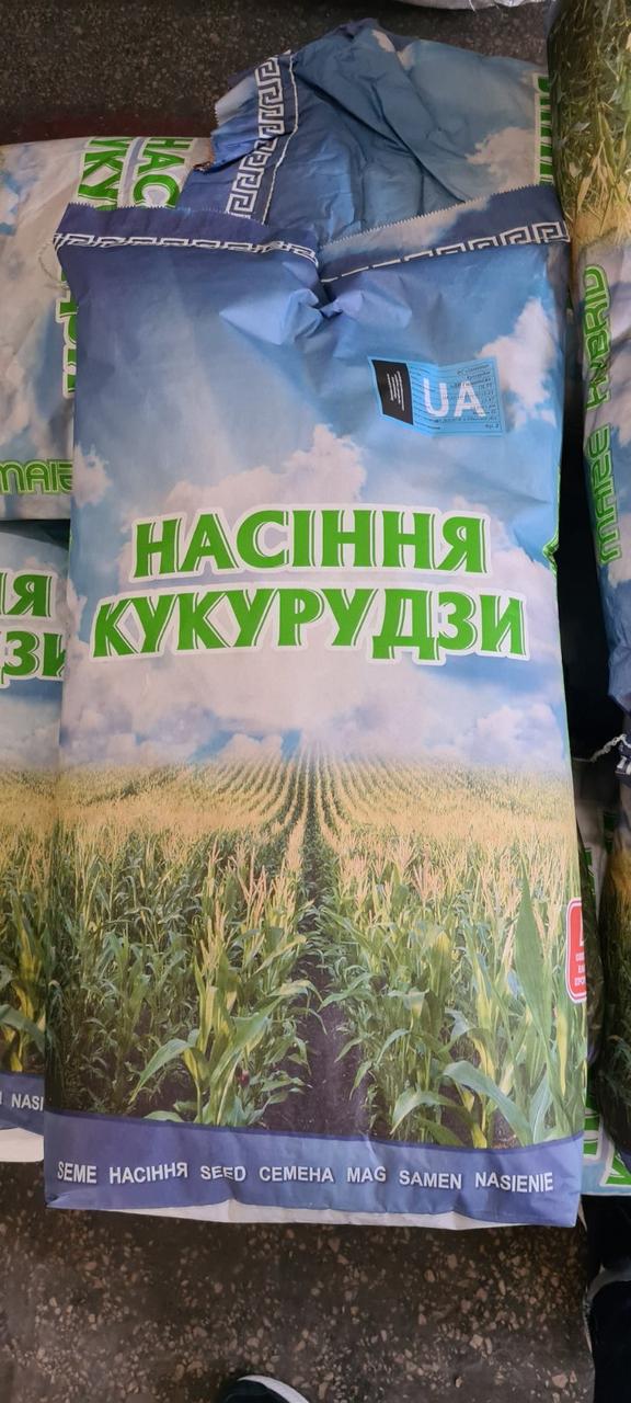 Насіння кукурудзи Дніпровське 181 СВ