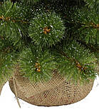 Сосна штучна TriumphTree Forest Frosted 90 см зелена з інеєм, невелика новорічна ялинка, фото 6