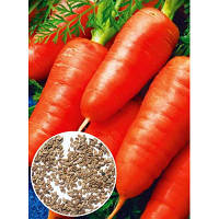 Семена Морковь Аленка весовая 1 кг