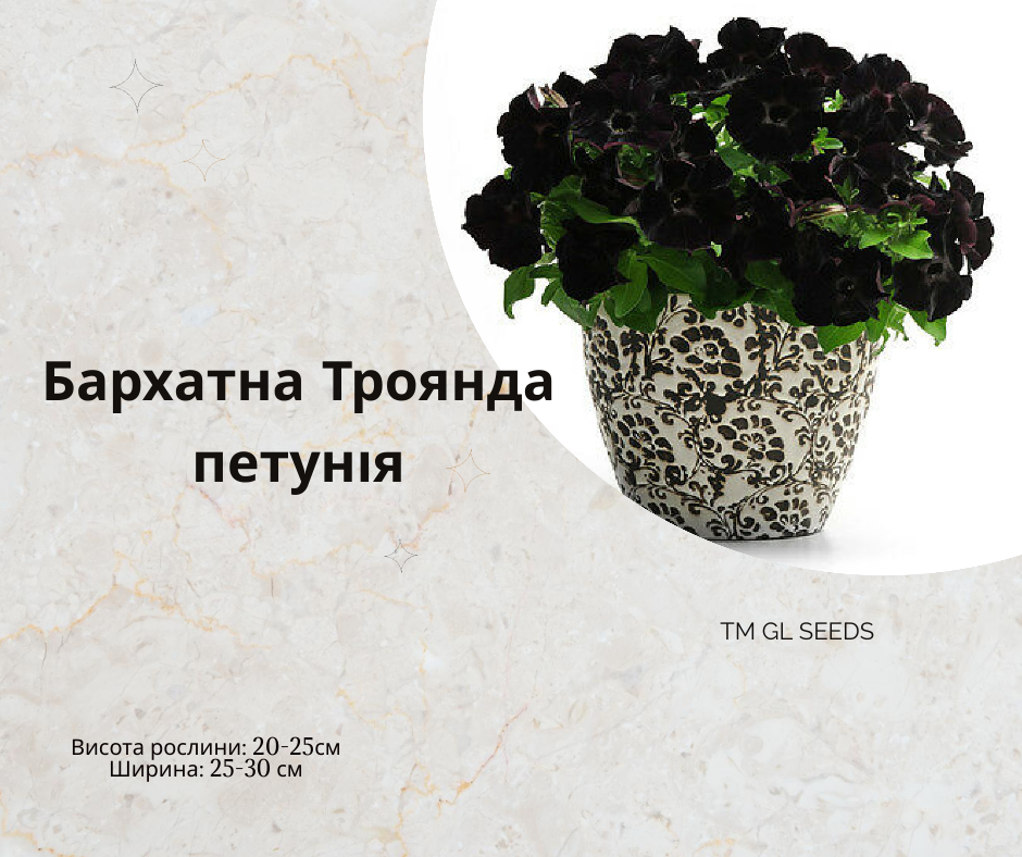 Насіння Петунія Оксамитова Троянда F1 (5 насінин) ТМ GL SEEDS Collection