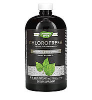 Nature's Way Chlorofresh, рідкий хлорофіл, без добавок