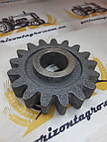 Колесо зубчасте редуктора сітківки СЗ-3,6 (Z-17) СЗГ 00.121, фото 2