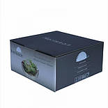 Піала з подвійним склом 300мл Infusion Flower, фото 7