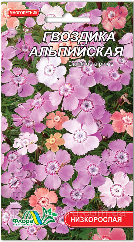 Насіння квітів Гвоздика альпійська Флора маркет