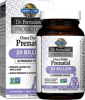 Garden of Life Dr. Formulated Probiotics Once Daily Prenatal 20 Billion 30 капсул (4384303863)