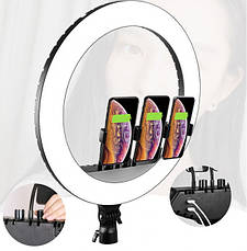 Кільцева LED лампа RL-21 54см 220V 3 крепл.тел. + пульт + чохол + Штатив, фото 4
