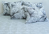 Комплект постільної білизни Сімейний Ранфорс, бавовна з компаньоном ТМ TAG R-V8166, фото 2