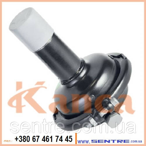 Гальмівна камера 4231432000 Тип 12 IVECO EuroTech 4835038, FORD Cargo 93CT-2025, EF120FY KANCA