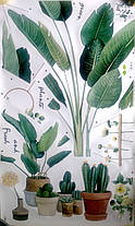 Інтер'єрні наклейки Кімнатні квіти Fresh and Green plants (лист 60 х 100 см) Б169-1, фото 4