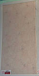 Пластикові декоративні панелі ПВХ Ріко(Riko) 250*7*3000мм Орхідея помаранчева з Термопереводом безшовні, фото 2