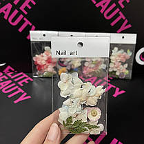 Сухоцвіти різних кольорів для декору Nail Art, фото 5