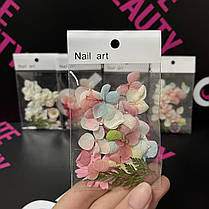 Сухоцвіти різних кольорів для декору Nail Art, фото 3