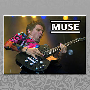 Плакат А3 Рок Muse 006
