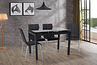 Стіл обідній скляний Венді (чорний)