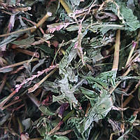 100 г водяной перец/горец перечный трава сушеная (Свежий урожай) лат. Persicária hydropíper
