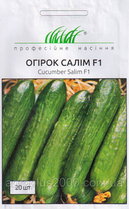 Насіння Огірок бджолозапильний Салім F1, 20 насінин Nong Woo Bio, фото 1
