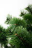 Сосна штучна 2,3 м ялинка зелена пишна на підставці, Різдвяна новорічна ялинка для будинку, фото 9