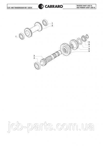 132875 (181246A1, CA0132875) gear CARRARO