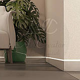 Алюмінієва LED вставка для плінтуса прихованого монтажу 49х9,5 мм, анодована, фото 7