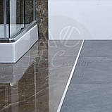 Профіль для підлогових покриттів Т-подібний 18х9х2700 мм, декор по RAL, фото 5