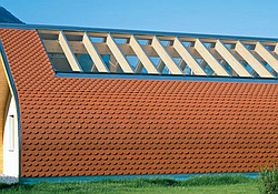 Керамічна черепиця CREATON Bibershwanzziegel