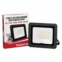 Прожектор світлодіодний MAGNUM FL ECO LED 100Вт slim 6500К IP65