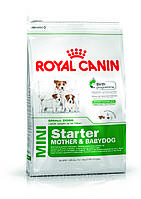 Royal Canin Mini Starter 20 кг Роял Канін для щенят малих порід до 2 місяців, вагітних і годуючих сук