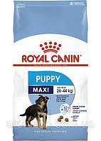 Royal Canin Maxi Puppy 20 кг для цуценят великих порід до 15 місяців