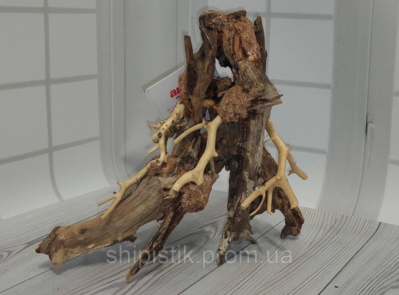Коряга для Террариума, Аквариума Ручной Работы "Восточный Ветер", 22*13 ...