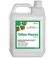 Протруйник для насіння Тебун ультра Ранголи, фото 3