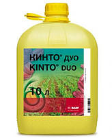 Протруйник для зернових Кінто Дуо Басф, фото 3