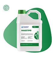 МАЕСТРО, фото 3