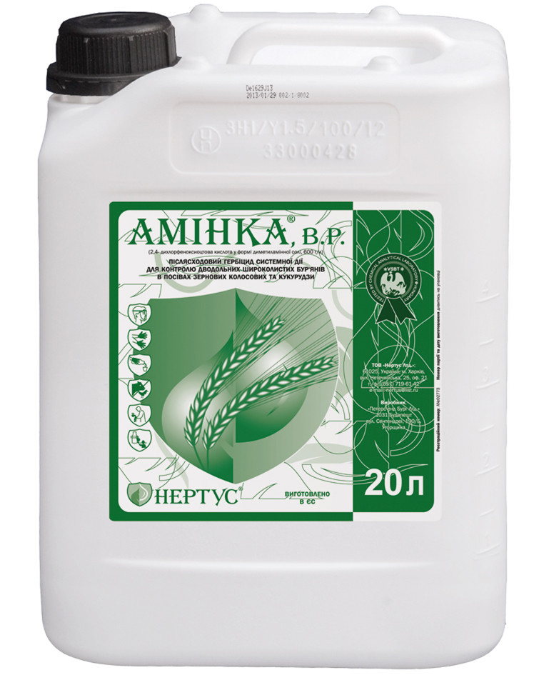 Аминка