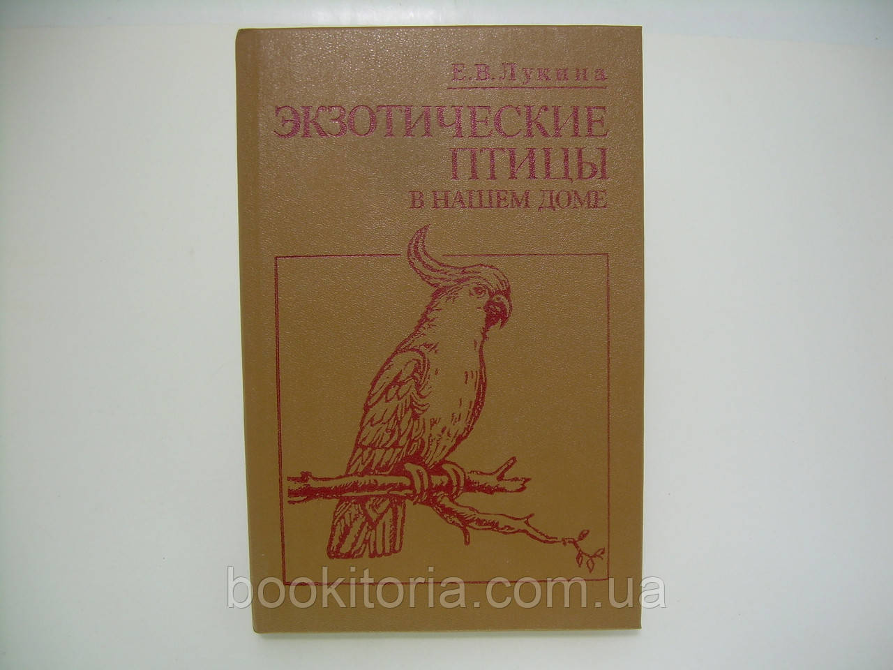гідна Е.В. Екзотичні птахи в нашому домі (б/у).