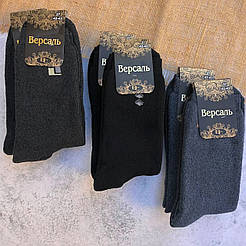 Чоловічі шкарпетки махра Версаль, Червоноград 25 (40-41)