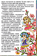 Книга Навчайся - розважайся. Принцеси та Феї - Лещенко О. (9786175369616), фото 4