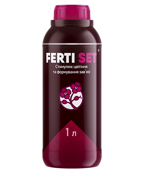 Полігенератор Ферті Сет (Сет) 1 л, Кіссон