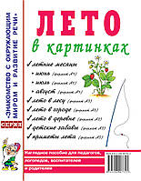 Лето в картинках. Наглядное пособие для педагогов, логопедов, воспитателей и родителей. А4