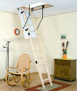 Чорна драбина «Oman» Long Termo